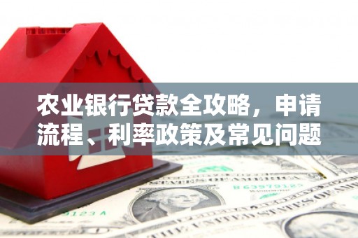 白玉农业银行贷款全攻略，申请流程、利率政策及常见问题解析
