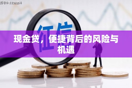 白玉现金贷，便捷背后的风险与机遇