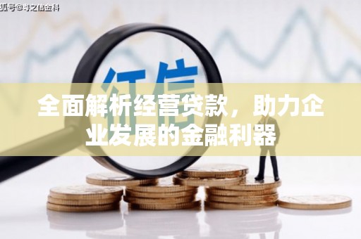 白玉全面解析经营贷款，助力企业发展的金融利器