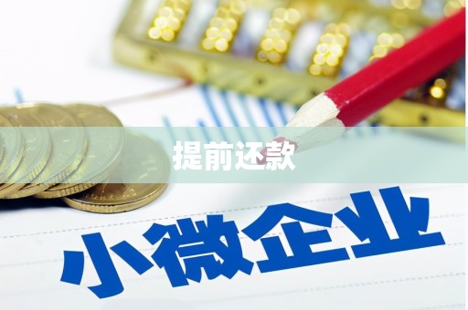白玉提前还款