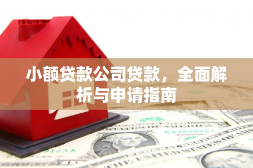 白玉小额贷款公司贷款，全面解析与申请指南