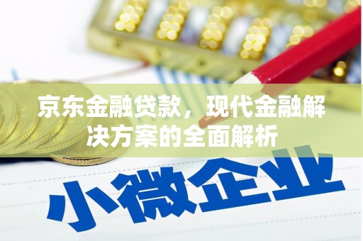 白玉京东金融贷款，现代金融解决方案的全面解析