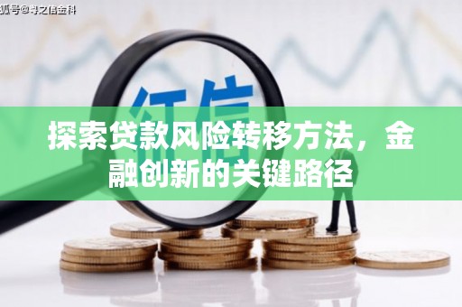 白玉探索贷款风险转移方法，金融创新的关键路径