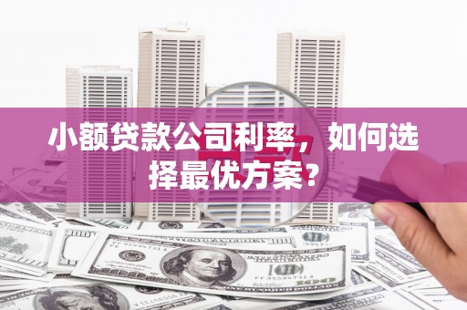 白玉小额贷款公司利率，如何选择最优方案？