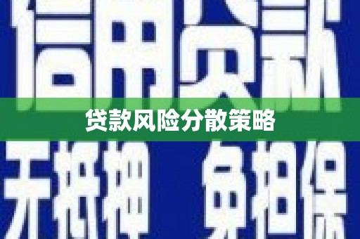 白玉贷款风险分散策略