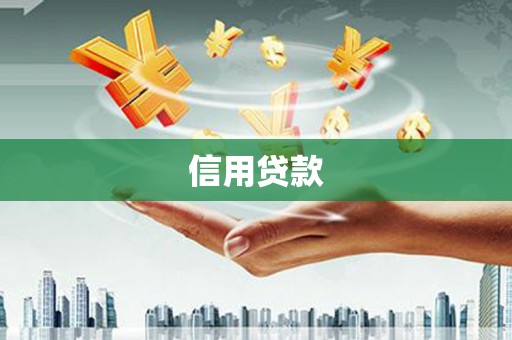 白玉信用贷款