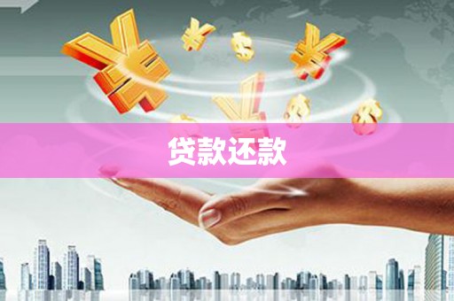 白玉贷款还款