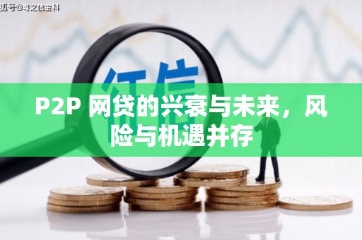 白玉P2P 网贷的兴衰与未来，风险与机遇并存