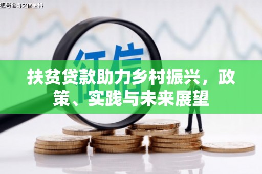 白玉扶贫贷款助力乡村振兴，政策、实践与未来展望