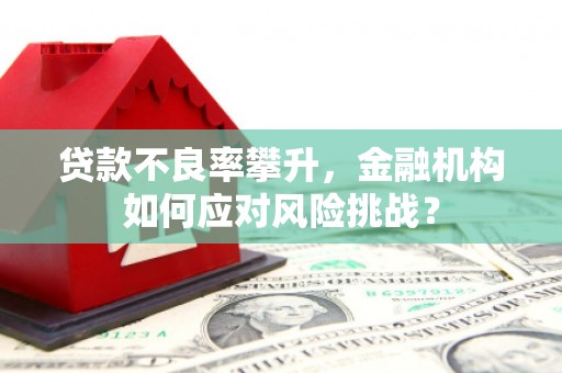 白玉贷款不良率攀升，金融机构如何应对风险挑战？