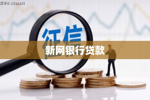 白玉新网银行贷款