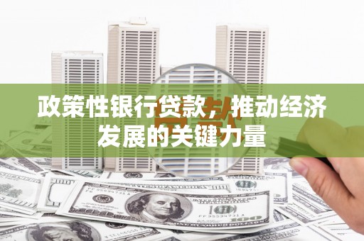 白玉政策性银行贷款，推动经济发展的关键力量