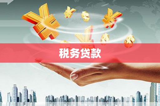 白玉税务贷款