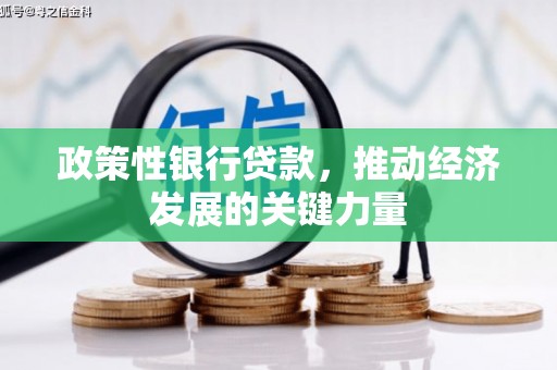 白玉政策性银行贷款，推动经济发展的关键力量