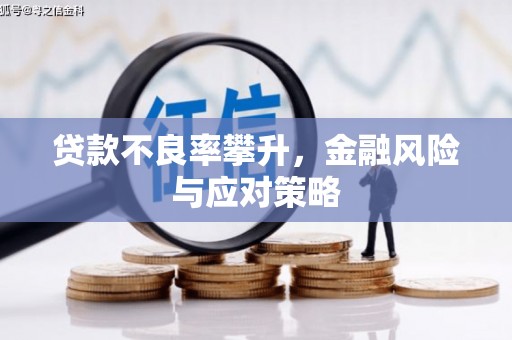 白玉贷款不良率攀升，金融风险与应对策略