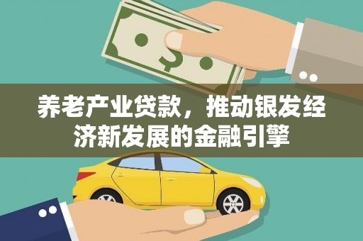白玉养老产业贷款，推动银发经济新发展的金融引擎