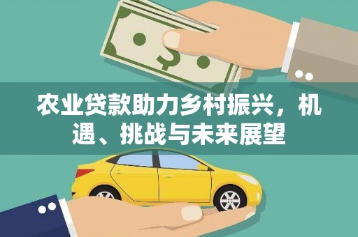 白玉农业贷款助力乡村振兴，机遇、挑战与未来展望