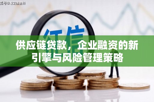 白玉供应链贷款，企业融资的新引擎与风险管理策略