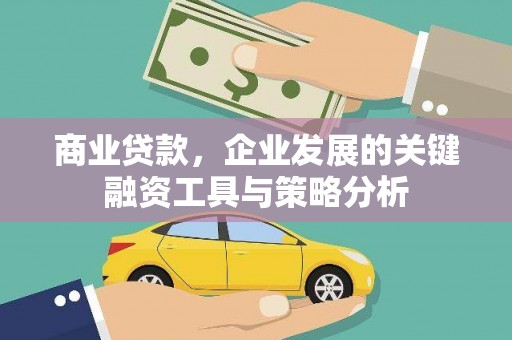 白玉商业贷款，企业发展的关键融资工具与策略分析