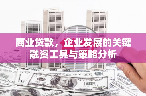白玉商业贷款，企业发展的关键融资工具与策略分析