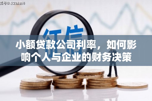 白玉小额贷款公司利率，如何影响个人与企业的财务决策