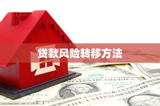 白玉贷款风险转移方法