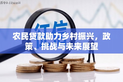 白玉农民贷款助力乡村振兴，政策、挑战与未来展望