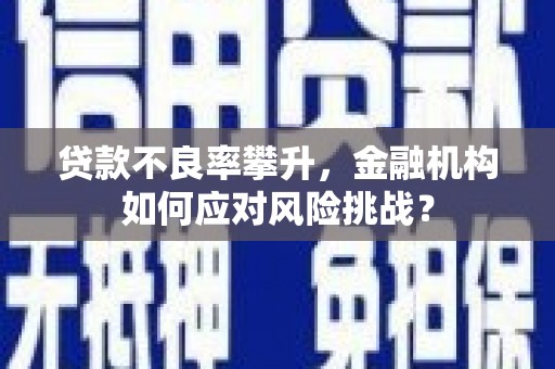 白玉贷款不良率攀升，金融机构如何应对风险挑战？