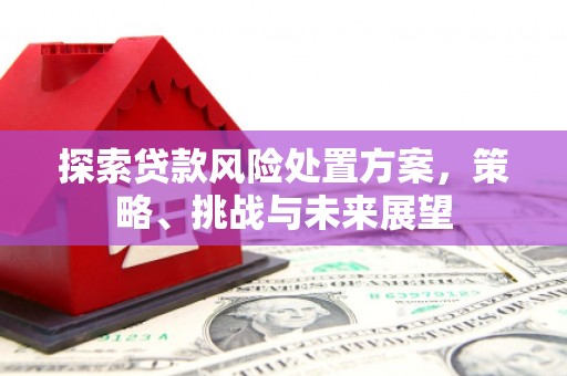 白玉探索贷款风险处置方案，策略、挑战与未来展望
