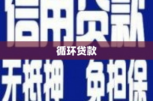 白玉循环贷款