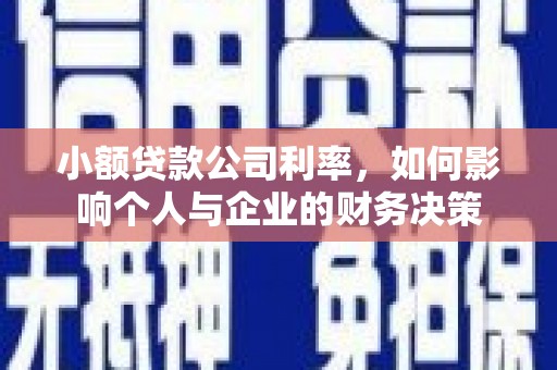 白玉小额贷款公司利率，如何影响个人与企业的财务决策