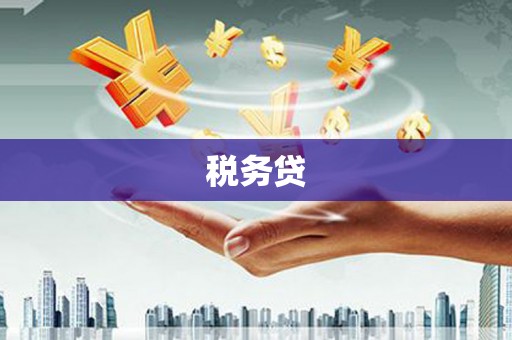 白玉税务贷