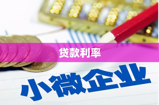 白玉贷款利率