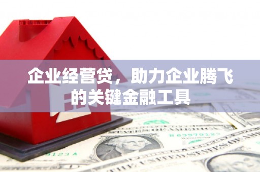 白玉企业经营贷，助力企业腾飞的关键金融工具