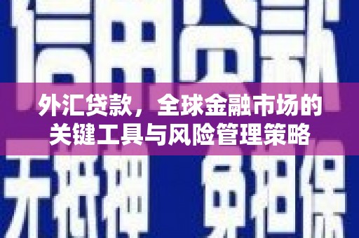 白玉外汇贷款，全球金融市场的关键工具与风险管理策略