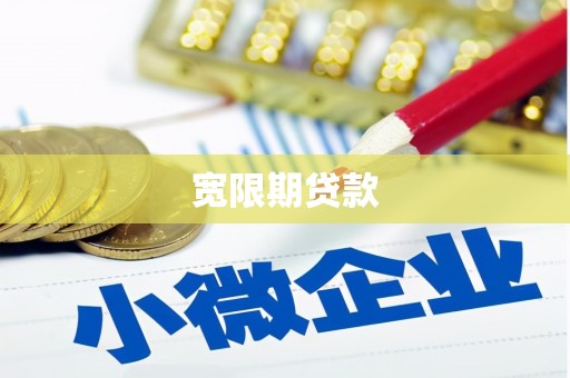 白玉宽限期贷款