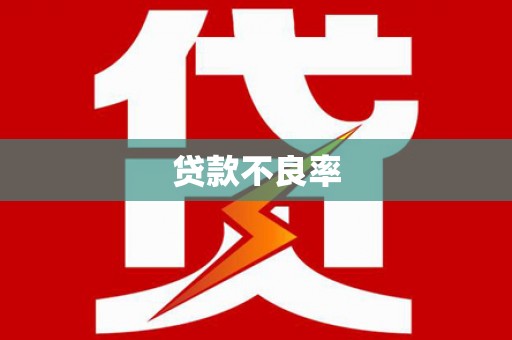 白玉贷款不良率