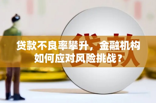 白玉贷款不良率攀升，金融机构如何应对风险挑战？
