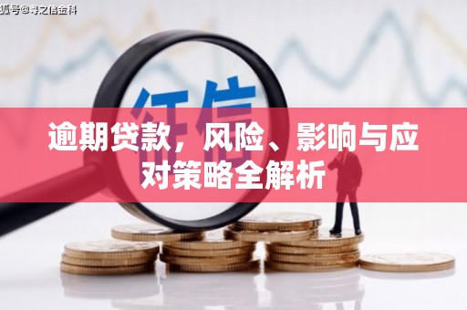 白玉逾期贷款，风险、影响与应对策略全解析