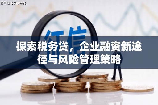 白玉探索税务贷，企业融资新途径与风险管理策略