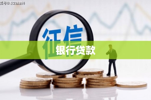 白玉银行贷款
