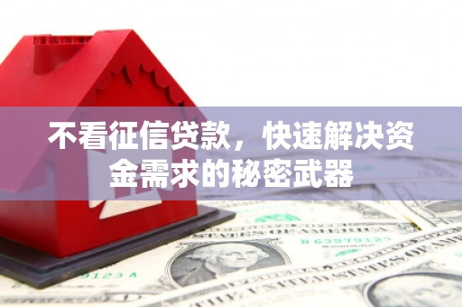 白玉不看征信贷款，快速解决资金需求的秘密武器