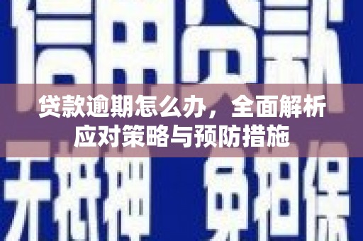 白玉贷款逾期怎么办，全面解析应对策略与预防措施