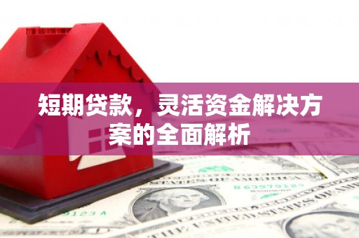 白玉短期贷款，灵活资金解决方案的全面解析