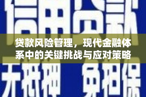 白玉贷款风险管理，现代金融体系中的关键挑战与应对策略