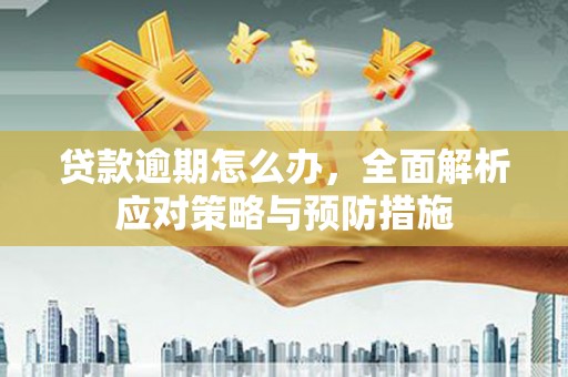 白玉贷款逾期怎么办，全面解析应对策略与预防措施