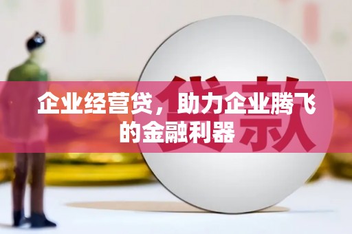 白玉企业经营贷，助力企业腾飞的金融利器