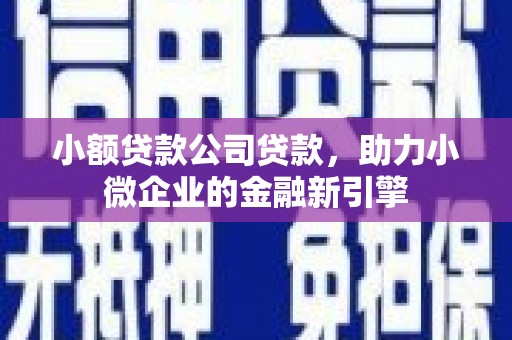 白玉小额贷款公司贷款，助力小微企业的金融新引擎