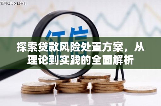 白玉探索贷款风险处置方案，从理论到实践的全面解析