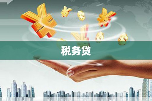 白玉税务贷